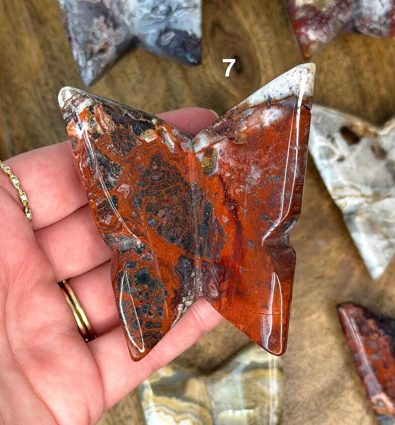 Mexican Crazy Lace Agate 3D Butterflies Butterly #7