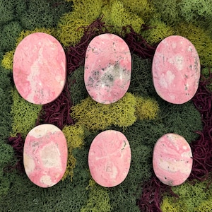 May include: Six oval-shaped pink gemstones with unique patterns and textures. The stones are set against a backdrop of green and burgundy moss, creating a natural and earthy aesthetic. The gemstones vary in color and pattern.