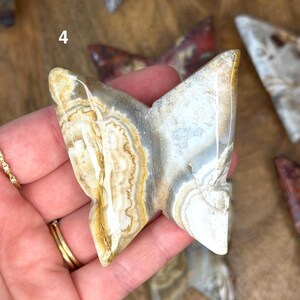Mexican Crazy Lace Agate 3D Butterflies Butterly #4