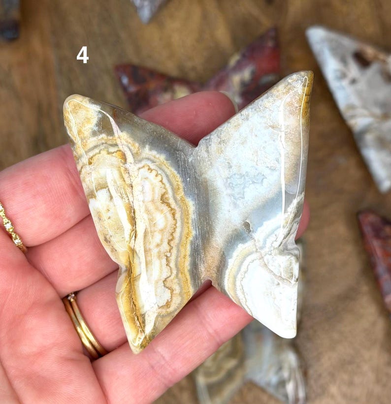 Mexican Crazy Lace Agate 3D Butterflies Butterly #4