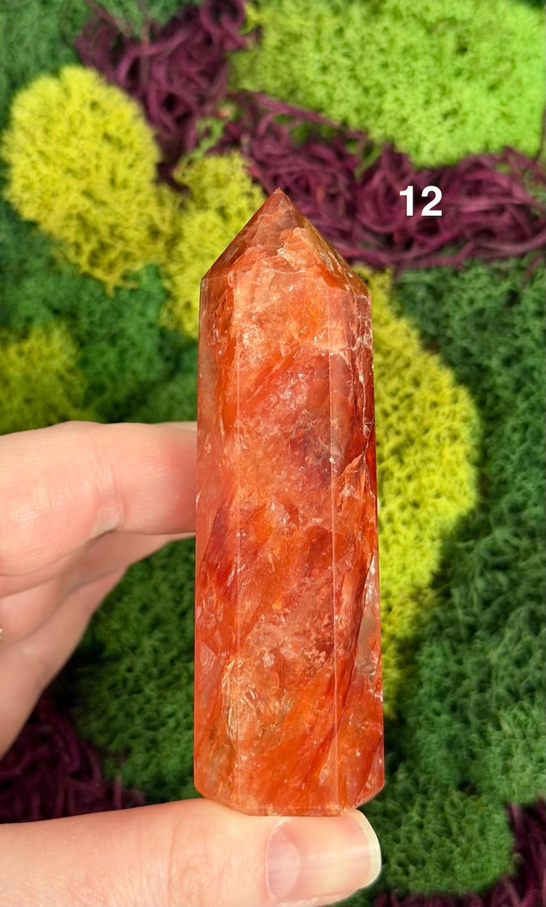 May include: A vibrant, orange-red crystal point with a faceted shape. The crystal is held in a hand against a backdrop of green and purple moss. The number "12" is visible on the crystal.