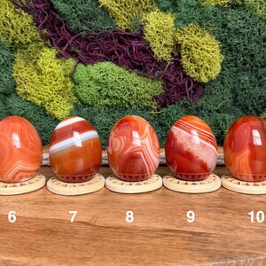 Carnelian Crystal Eggs 画像 5