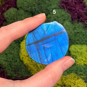 May include: A round, blue labradorite gemstone with a dark, linear pattern. The stone is held between fingers against a backdrop of green and purple moss. The number "5" is visible in the upper right corner.