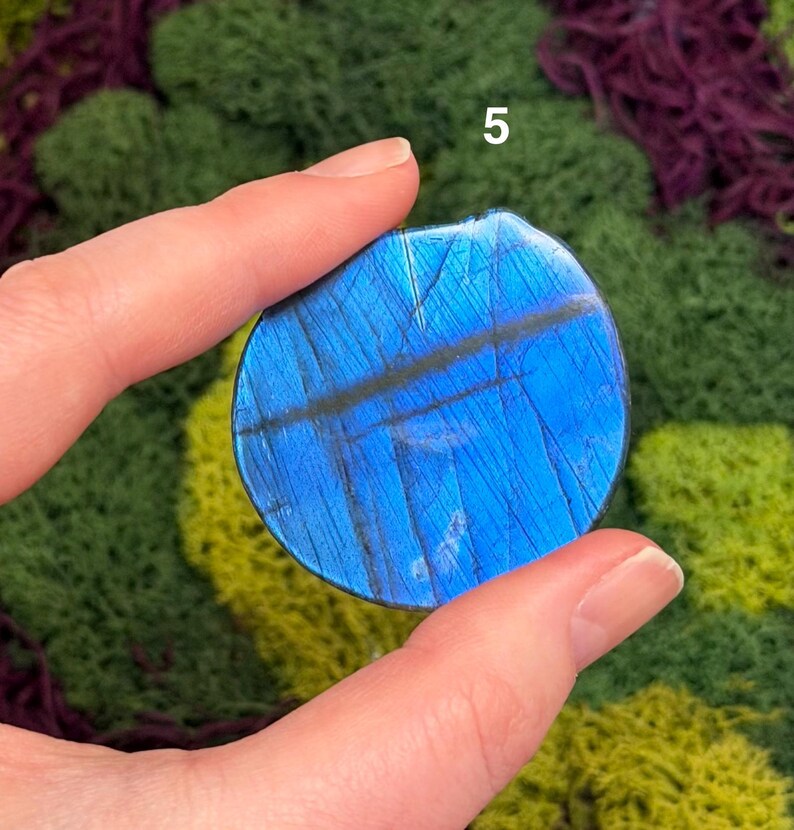 May include: A round, blue labradorite gemstone with a dark, linear pattern. The stone is held between fingers against a backdrop of green and purple moss. The number "5" is visible in the upper right corner.