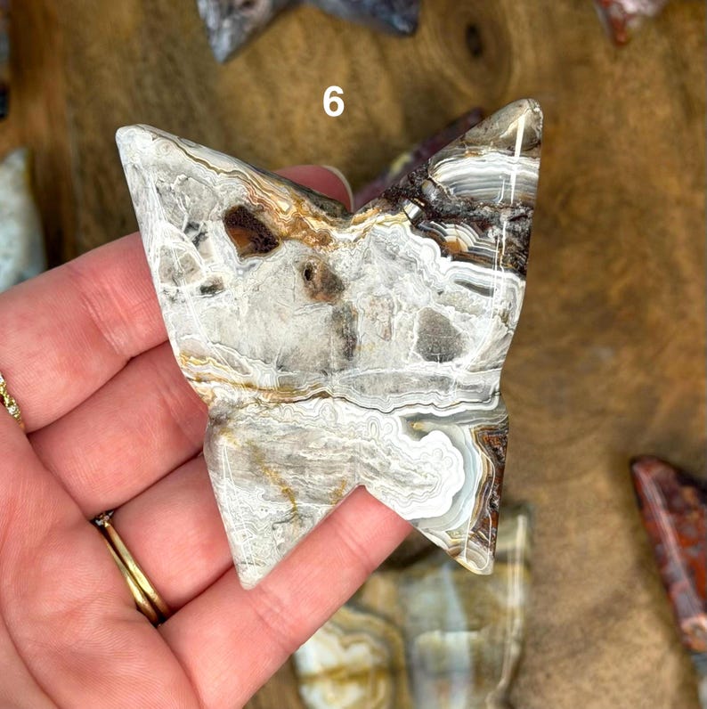 May include: A butterfly-shaped stone with a mix of white, brown, and gray patterns. The number "6" is visible on the stone's surface. The stone is held in a hand, showcasing its natural colors and unique shape.