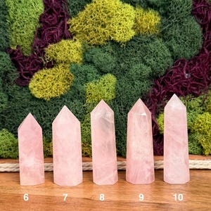 May include: Five light pink rose quartz crystal points arranged in a row on a wooden surface. Each crystal has a faceted hexagonal top and a smooth, semi-translucent body. The numbers 6, 7, 8, 9, and 10 are printed below each crystal.