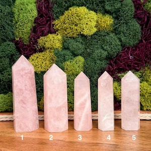 May include: Five polished rose quartz crystal points arranged in a row on a wooden surface. Each point is numbered from one to five at the base, displaying varying heights and shades of translucent pale pink with natural internal fractures.