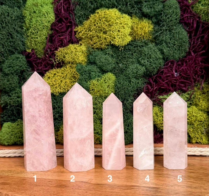 May include: Five polished rose quartz crystal points arranged in a row on a wooden surface. Each point is numbered from one to five at the base, displaying varying heights and shades of translucent pale pink with natural internal fractures.