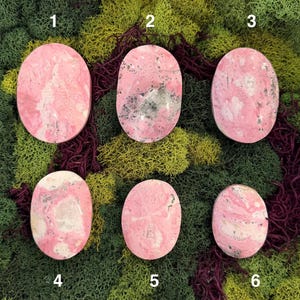 May include: Six oval-shaped gemstones with pink and white marbling, numbered 1 through 6. The gemstones are set against a backdrop of green and burgundy moss. The stones vary in pattern and color intensity.