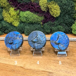 May include: Three blue labradorite wolf carvings on clear stands. Each circular stone features a detailed wolf head profile. The stones are numbered 3, 4, and 5. The background includes green and purple moss.