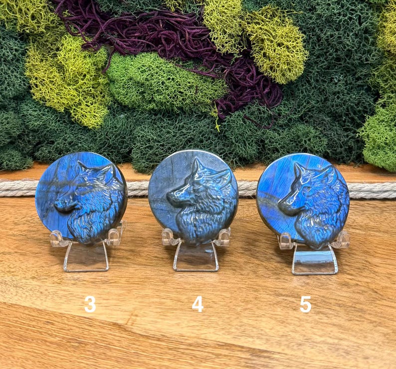 May include: Three blue labradorite wolf carvings on clear stands. Each circular stone features a detailed wolf head profile. The stones are numbered 3, 4, and 5. The background includes green and purple moss.