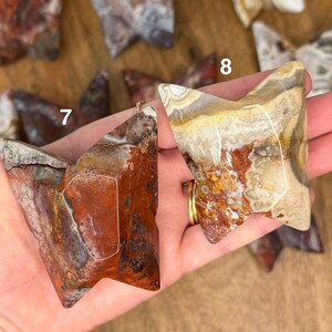 May include: Two butterfly-shaped polished stones with unique patterns and colors. One stone is primarily red and brown, while the other features beige, brown, and gold hues. The stones are held in a hand, showcasing their natural beauty.