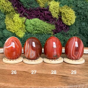 Carnelian Crystal Eggs 画像 13
