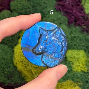 May include: A round, blue labradorite stone with a carved wolf profile. The stone has a polished surface with iridescent blue and gray streaks. The number "5" is visible in the upper right corner. The stone is held between two fingers.