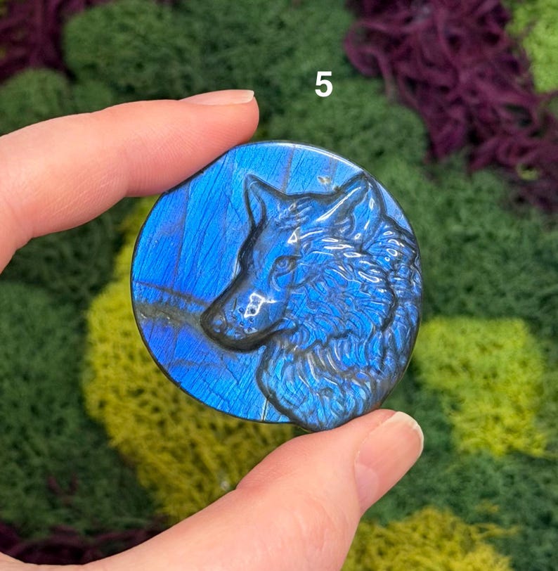 May include: A round, blue labradorite stone with a carved wolf profile. The stone has a polished surface with iridescent blue and gray streaks. The number "5" is visible in the upper right corner. The stone is held between two fingers.