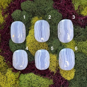 May include: Six oval-shaped blue lace agate gemstones with a polished finish. Each stone displays a unique pattern of light and dark blue bands, set against a backdrop of green, yellow, and burgundy moss.