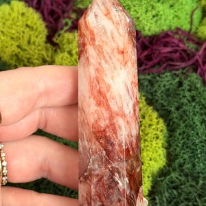 May include: A tall, polished crystal point with a reddish-brown and white marbled appearance. The crystal is held in a hand against a backdrop of green and purple moss. The number 6 is visible on the background.