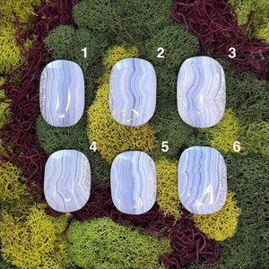 May include: Six oval-shaped blue lace agate stones with white and light blue banding. The stones are displayed on a bed of green, yellow, and maroon moss. Each stone is numbered from one to six.