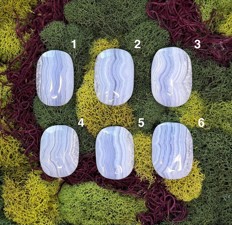 May include: Six oval-shaped blue lace agate stones with white and light blue banding. The stones are displayed on a bed of green, yellow, and maroon moss. Each stone is numbered from one to six.