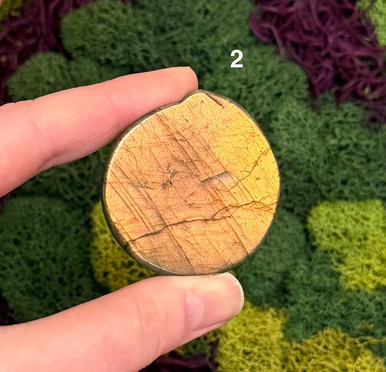 May include: A round, golden-brown stone with a textured surface and natural cracks. The stone is held between fingers against a backdrop of green and purple moss. The number "2" is visible in the upper right corner.