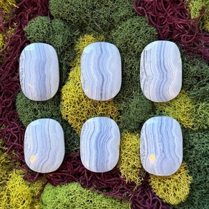 May include: Six oval-shaped blue lace agate stones with wavy patterns are displayed on a bed of green, yellow, and burgundy moss. The stones have a polished, smooth surface, and the moss provides a natural, earthy backdrop.