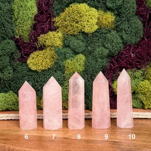May include: Five light pink rose quartz crystal points arranged in a row on a wooden surface. Each crystal has a hexagonal base and a pointed top. The crystals are labeled with the numbers 6, 7, 8, 9, and 10 printed in white below each piece.