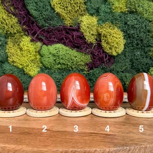 Carnelian Crystal Eggs 画像 3