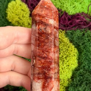 May include: A red and clear quartz crystal point with a polished, faceted surface. The crystal features reddish-brown inclusions and a pointed top. The background is a mix of green and purple moss.