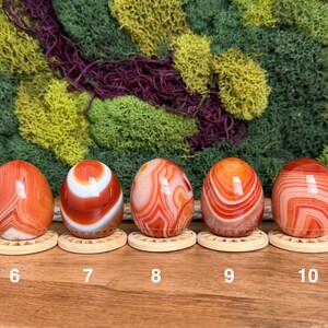 Carnelian Crystal Eggs 画像 4