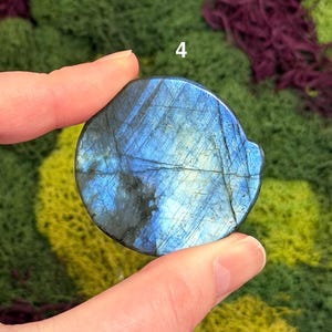 Labradorite Crystal Wolf Carvings image 12