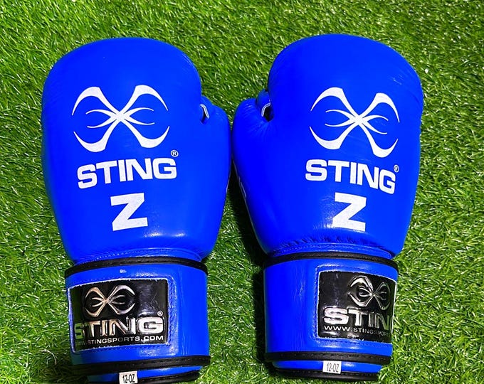 Personalized Sting Boxing Gloves Custom Name, Adults & Kids Boxing Gift for Boyfriend