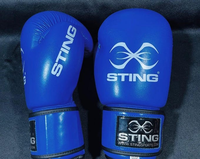Sting Boxing Gloves, Handmade Cowhide Leather, Personalized Gift