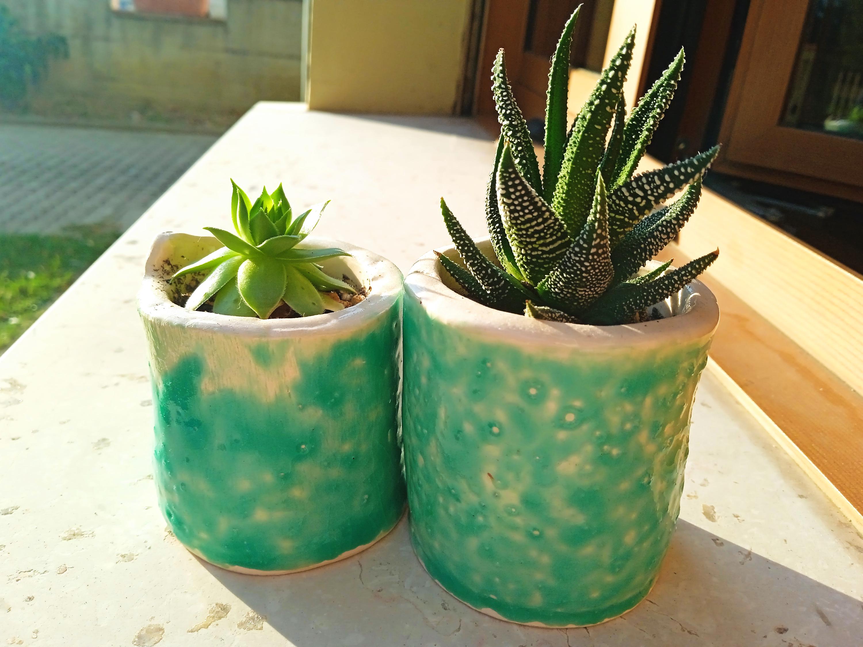 VASI PLASTICA cm 5,5 x H 5 x L 0,08 SEMINA PIANTINE CACTUS - 50 VASI