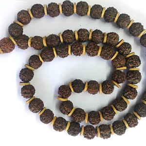 20 mm 5 Mukhi Rudraksha Mala / Cuentas de oración de madera natural de Bilva