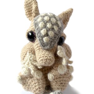 Armadillo Amigurumi Crochet Pattern Bundle PDF Téléchargement instantané Tilda et Earl image 4