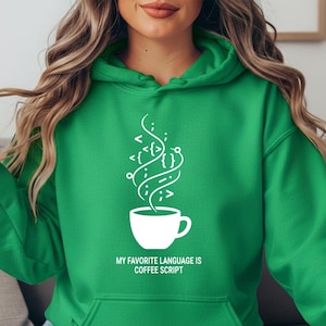 Funny Programming Hoodie, Coder Humor Hooded Sweatshirt, Developer Nerd Hoodie, Software Engineer Gift, Geek Coding Hoodie