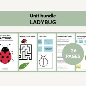 Ladybug Activity Pack | Insect Unit Study | Nature Learning for Kids | Printable Homeschool Activities | PDF