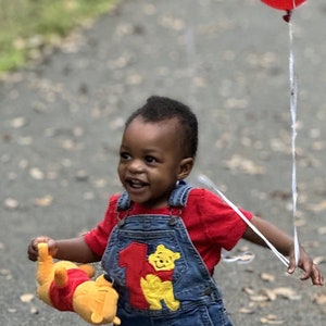 Disney Birthday Overalls-Winnie The Pooh First Birthday Clothes-Tigger First Birthday Clothes- Eeyore First Birthday Outfit