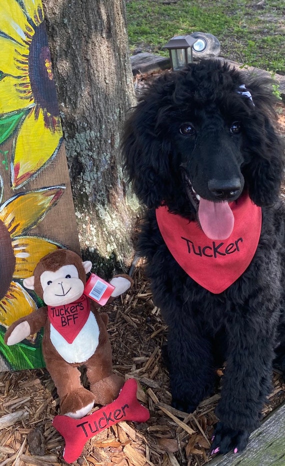 Personalized Dog Gift Set/personalized Puppy Gift Etsy