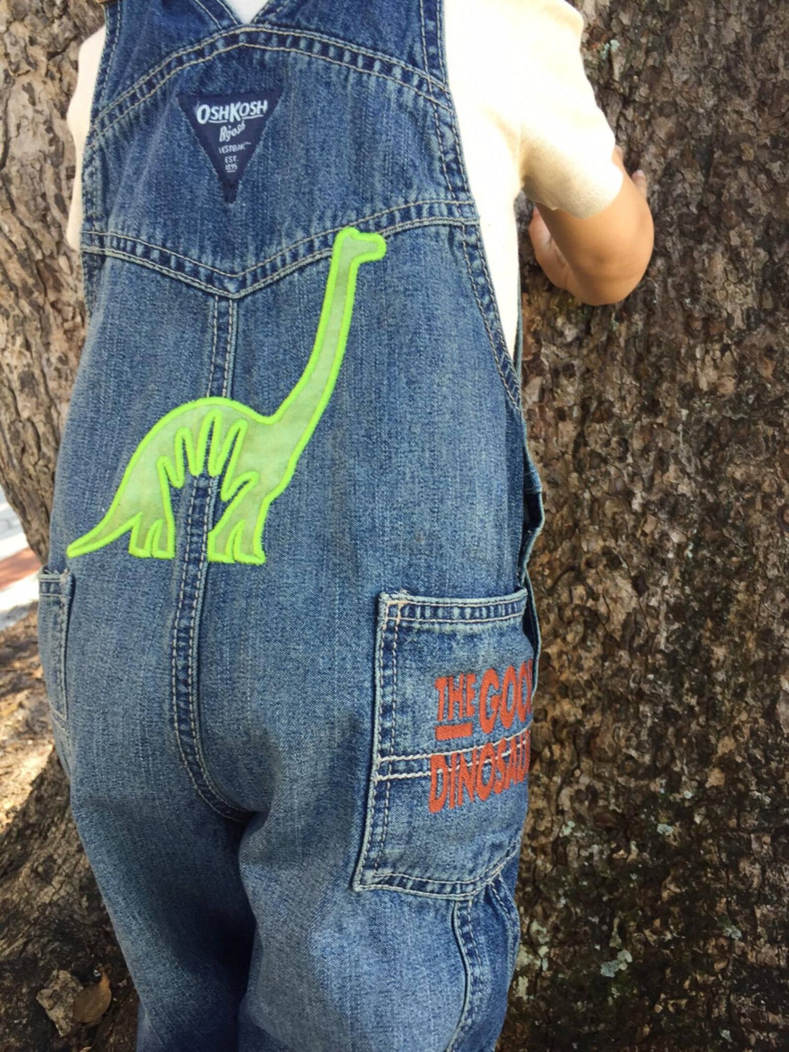 The Good Dinosaur Personalized Overalls With Arlo and Spot Etsy
