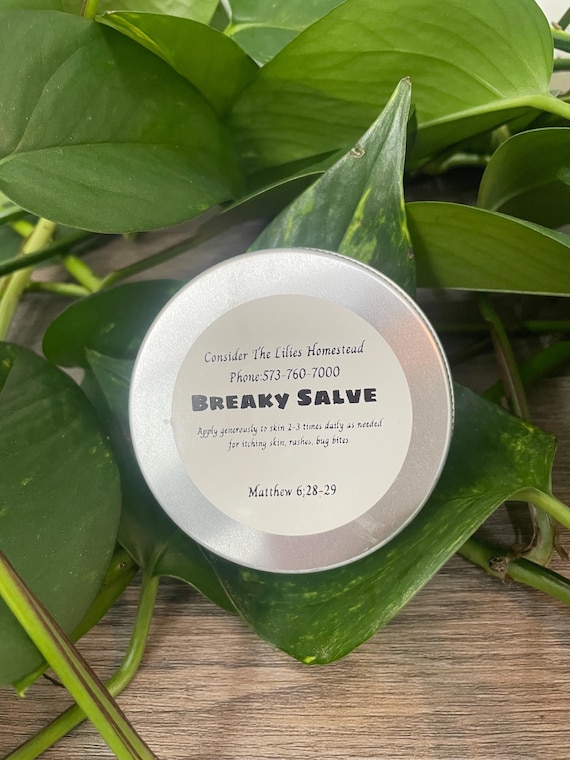 Breaky Salve: All Natural Organic Herbal Skin Healing, 2 oz