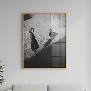 May include: Black and white framed art print. The artwork depicts a young person in a dark coat standing near a swan's shadow. The image is set outdoors with sunlight casting shadows. The frame is a light wood color.
