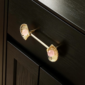 Lådhandtag i naturkristall: Mässingsstenshandtag, snäckformade handtag