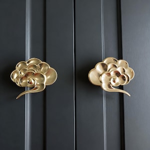 Può includere: Due pomelli per armadi a forma di nuvola in ottone montati su un'anta di un armadio grigio scuro. I pomelli hanno un design dettagliato e a spirale e una finitura lucida. Ferramenta decorativa.