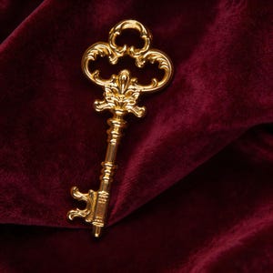 May include: A gold-colored decorative key with ornate detailing. The key features a detailed handle and a decorative top with a floral design. The key is set against a deep red velvet background, creating a luxurious aesthetic.