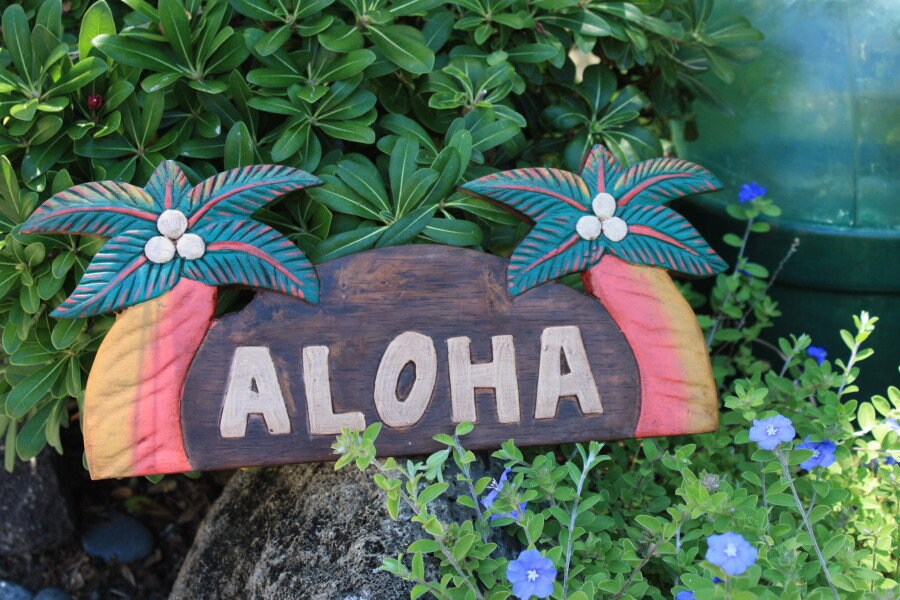 ⌘aloha⌘ adidas-zx8000-boost-hawaii-