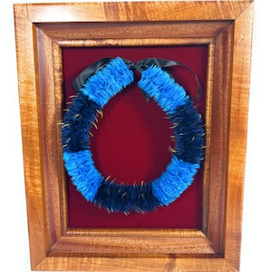 Puede incluir: Se muestra un lei enmarcado, una guirnalda hawaiana tradicional. El lei presenta secciones alternas de plumas azules y azul marino con detalles dorados. Está colocado sobre un fondo rojo dentro de un marco de madera.