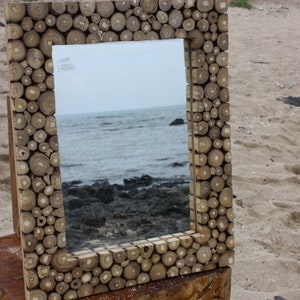 Teak Root Mirror 20&quot;x16&quot; - Coastal Living