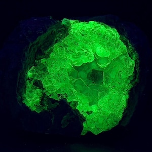 May include: A mineral specimen featuring a central cluster of botryoidal formations that emit a vibrant, glowing neon green fluorescence against a dark, non-fluorescent exterior matrix, creating a high-contrast visual effect in low light.