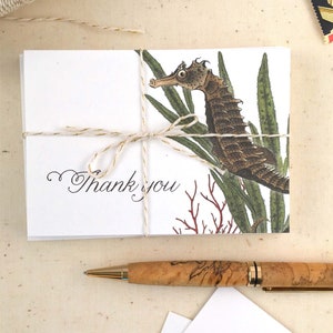 Seahorse Thank You Cards Nautical Thank You Cards Set of 10 thank you notes Made in the USA Recycled Paper matching envelopes image 1